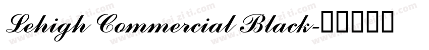 Lehigh Commercial Black字体转换